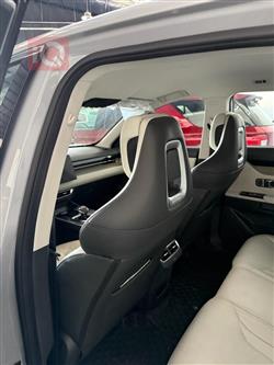 جیتۆر داشينگ